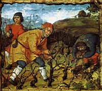 Taille de la vigne (2)